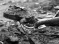 Still from Bill Morrison's film "Dawson City: Frozen in Time" (2016) 