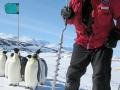 sean place with penguins