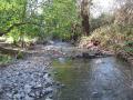 creek with water